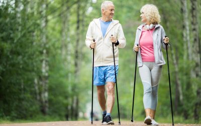 La retraite en van : Quand les seniors se transforment en nomades numériques